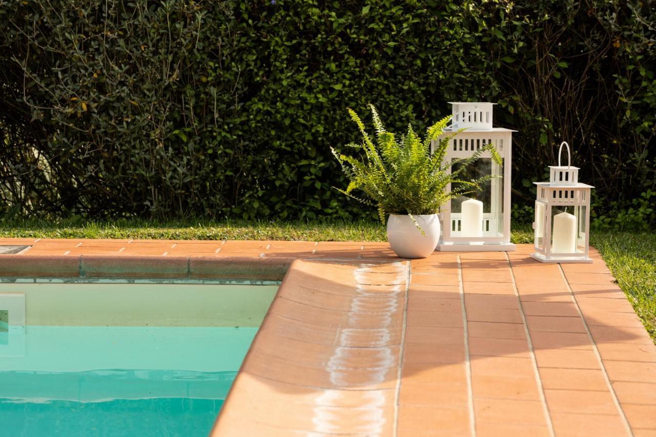 בורגו א מוצאנו Casetta Di Butia, Mimosa Apartment מראה חיצוני תמונה